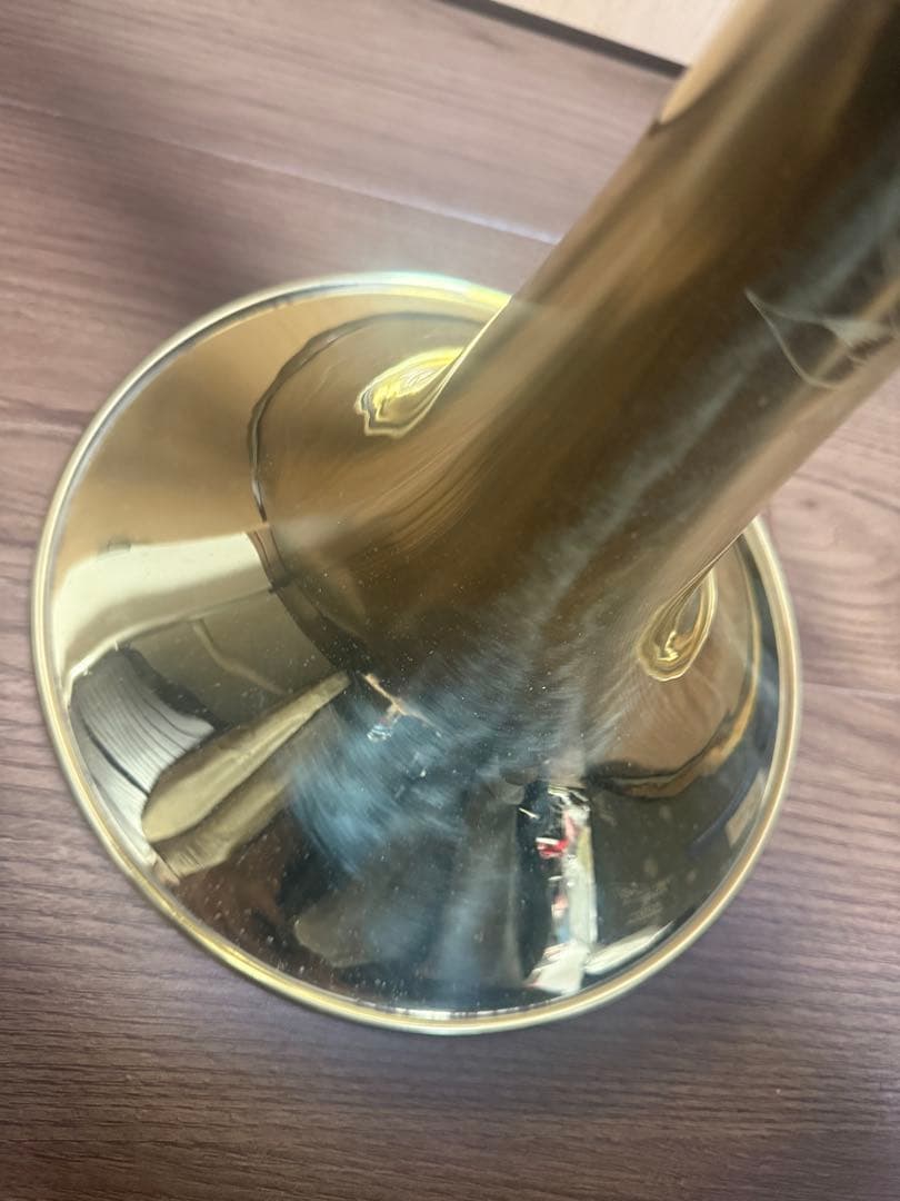 S.E Shires シャイアーズ テナーバストロンボーン Q