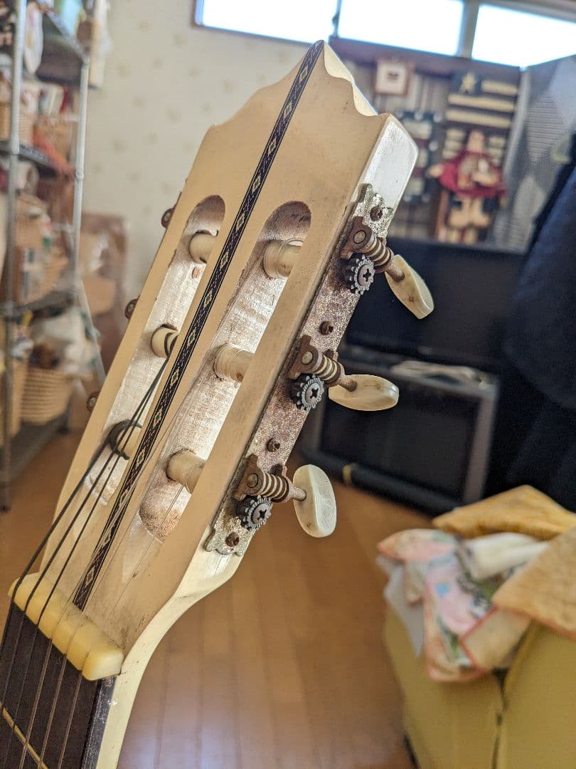 PALOMAアコースティックギター白(⁠ ⁠ꈍ⁠ᴗ⁠ꈍ⁠)