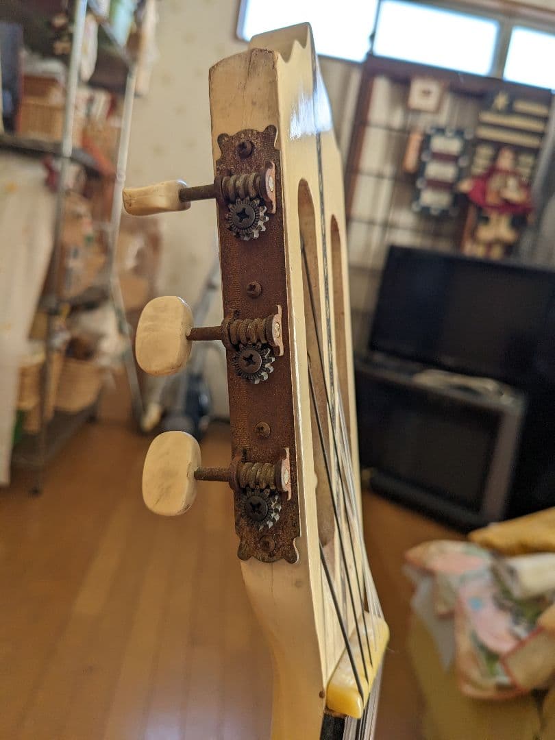 PALOMAアコースティックギター白(⁠ ⁠ꈍ⁠ᴗ⁠ꈍ⁠)