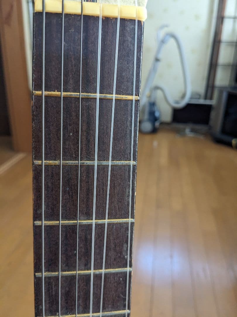 PALOMAアコースティックギター白(⁠ ⁠ꈍ⁠ᴗ⁠ꈍ⁠)