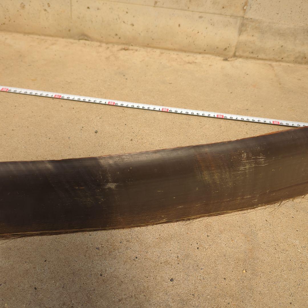 クジラの髭 約200cm 1967年 アラスカ