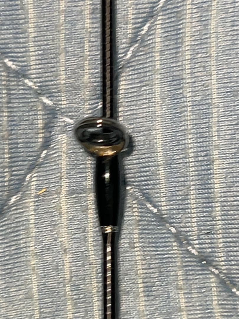 本日夜7時ぐらいまで　Fishman Beams LOWER8.6L