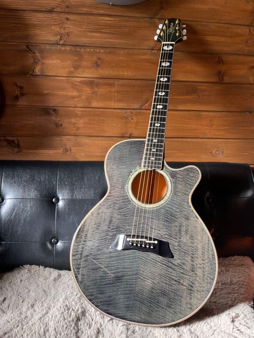 TAKAMINE PT-118 1987年製