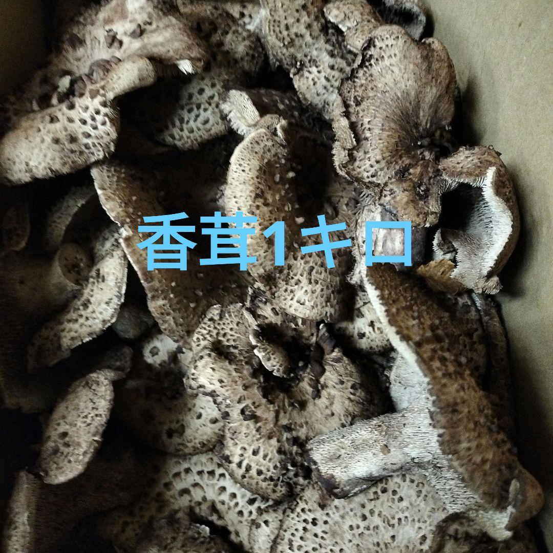 岩手県産香茸1キロ