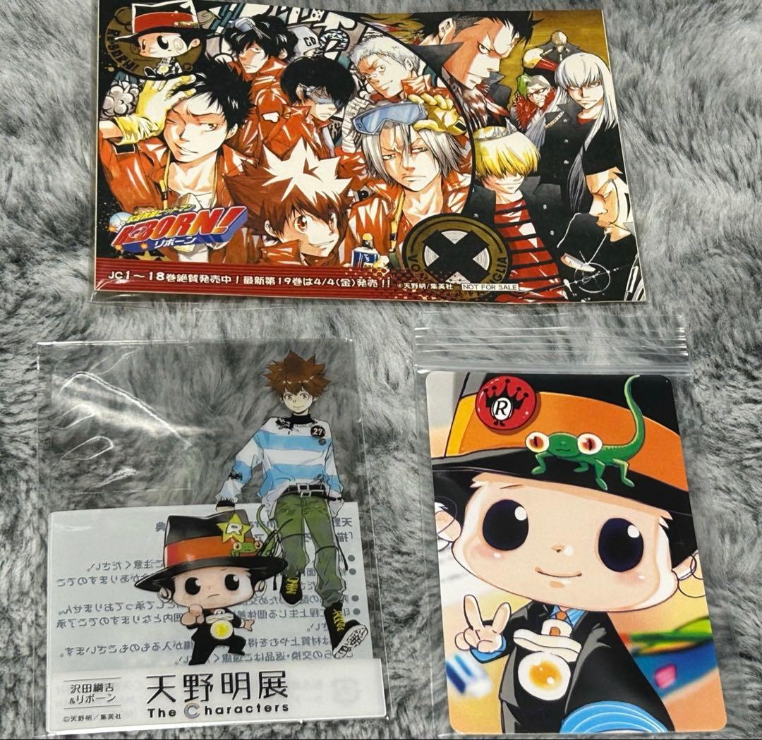 家庭教師ヒットマンREBORN！ カレンダー ポスター ボンゴレリング