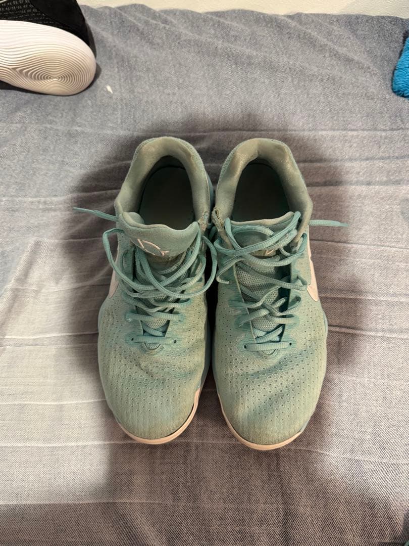 Nike Hyperdunk 2017 ハイパーダンク2017 30cm