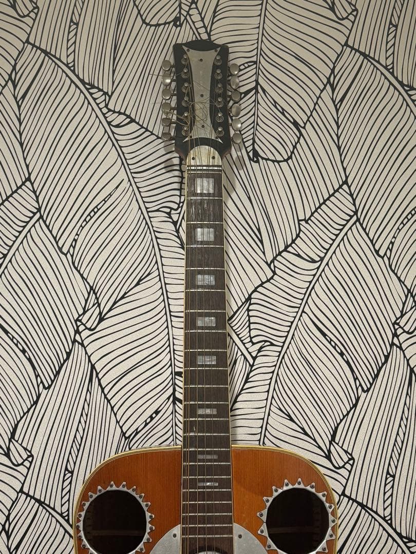 カスタマイズ アコースティックギター Eko Ranger XII