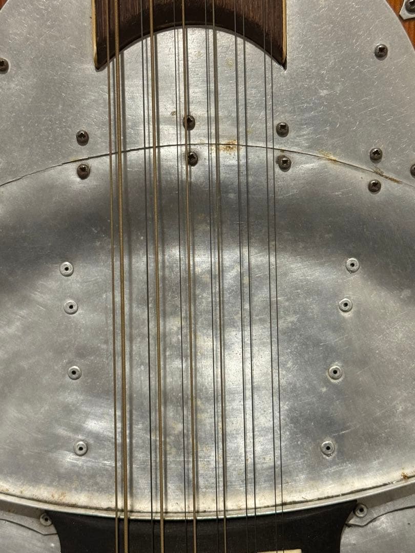 カスタマイズ アコースティックギター Eko Ranger XII