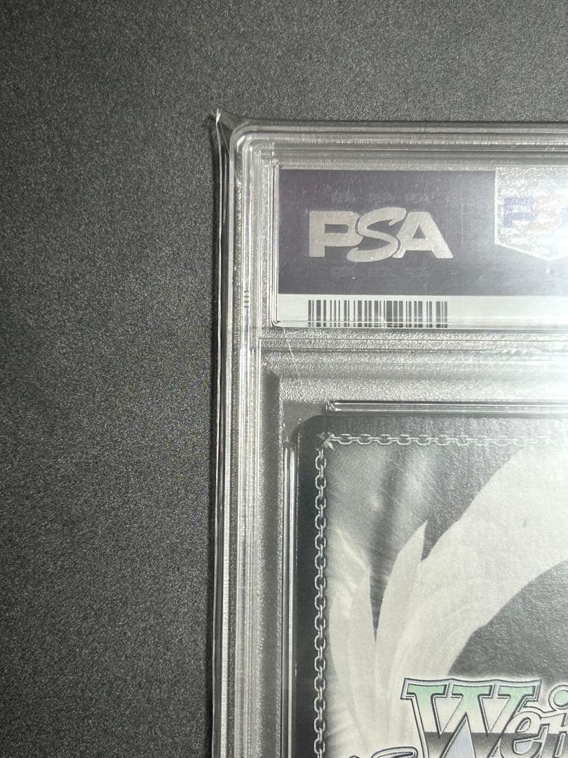 ヴァイス SP 袴姿のレム サイン PSA8