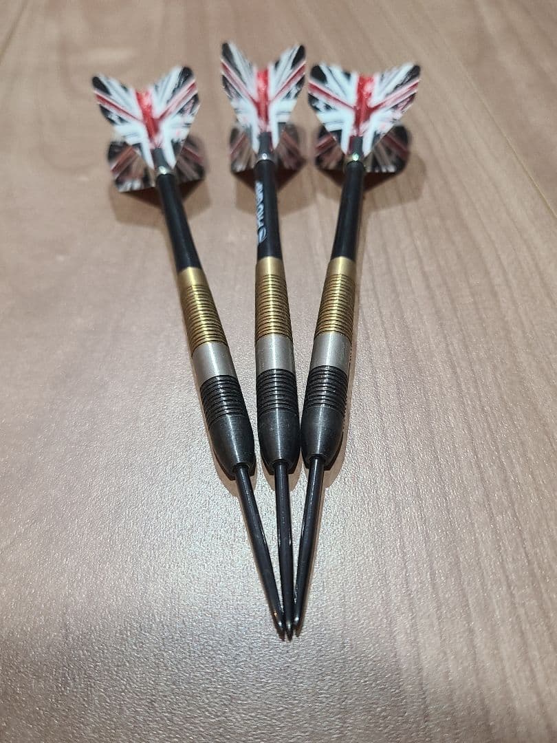 ピューリスト レイモンド・ヴァン・バーナベルドモデル フェイズ5 スティール