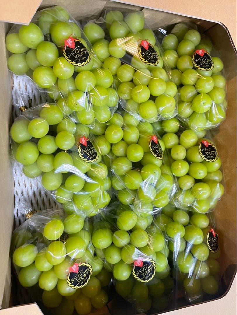 ⑨【島根県産】シャインマスカット約5キロ