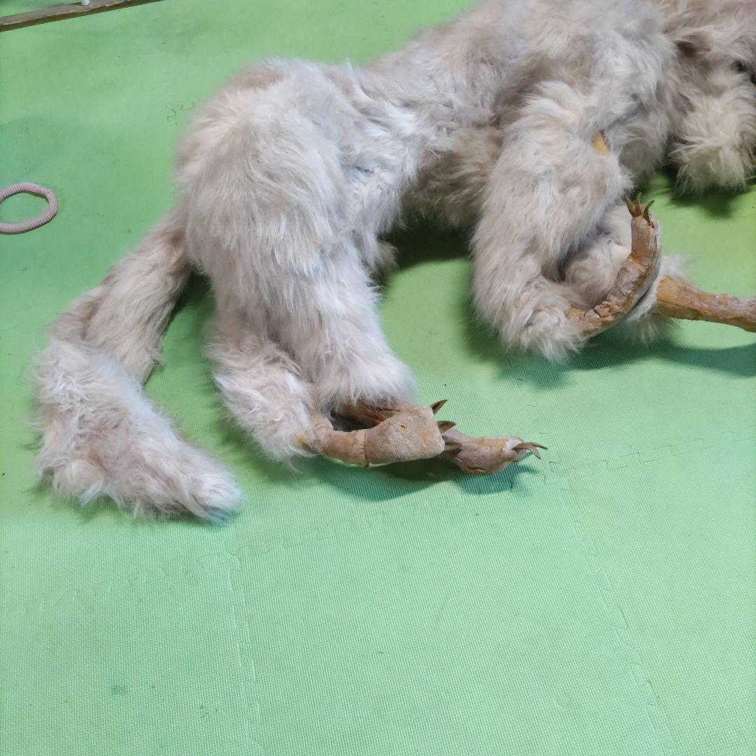 【激レア】劇団★新感線の小道具　オオカミ（LOST SEVEN　1999年公演）