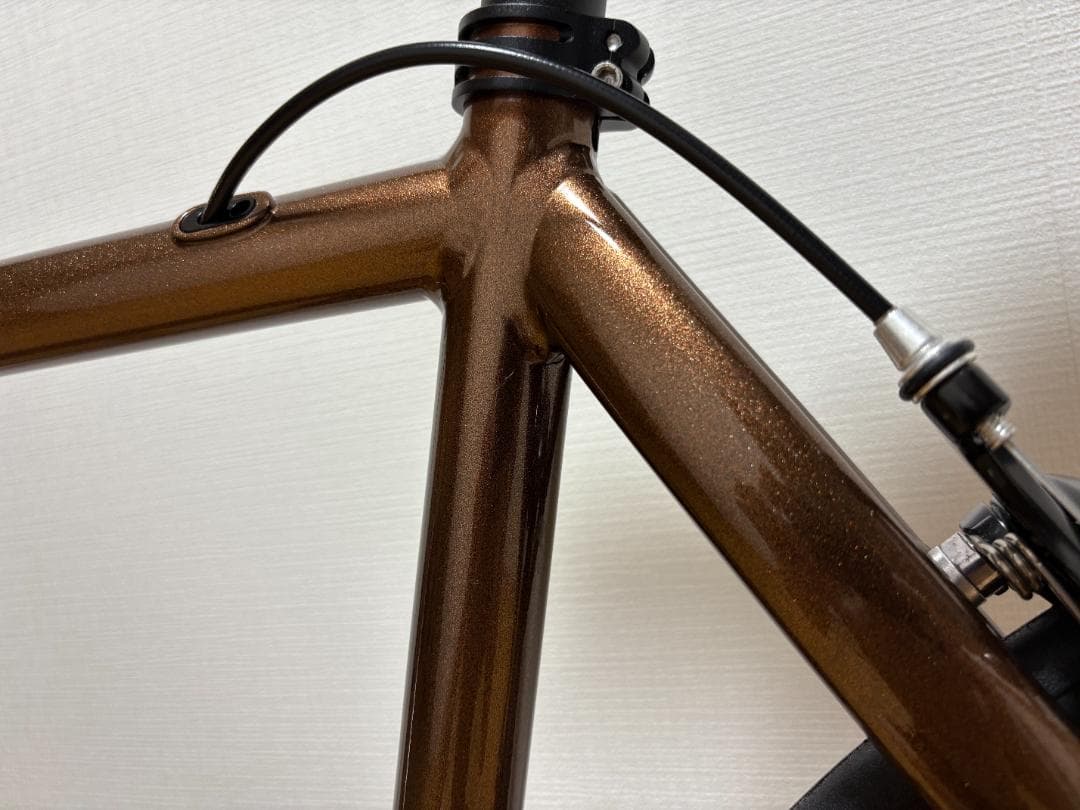 TYRANT BIKES BEASTIE　Sサイズ　ピストバイク