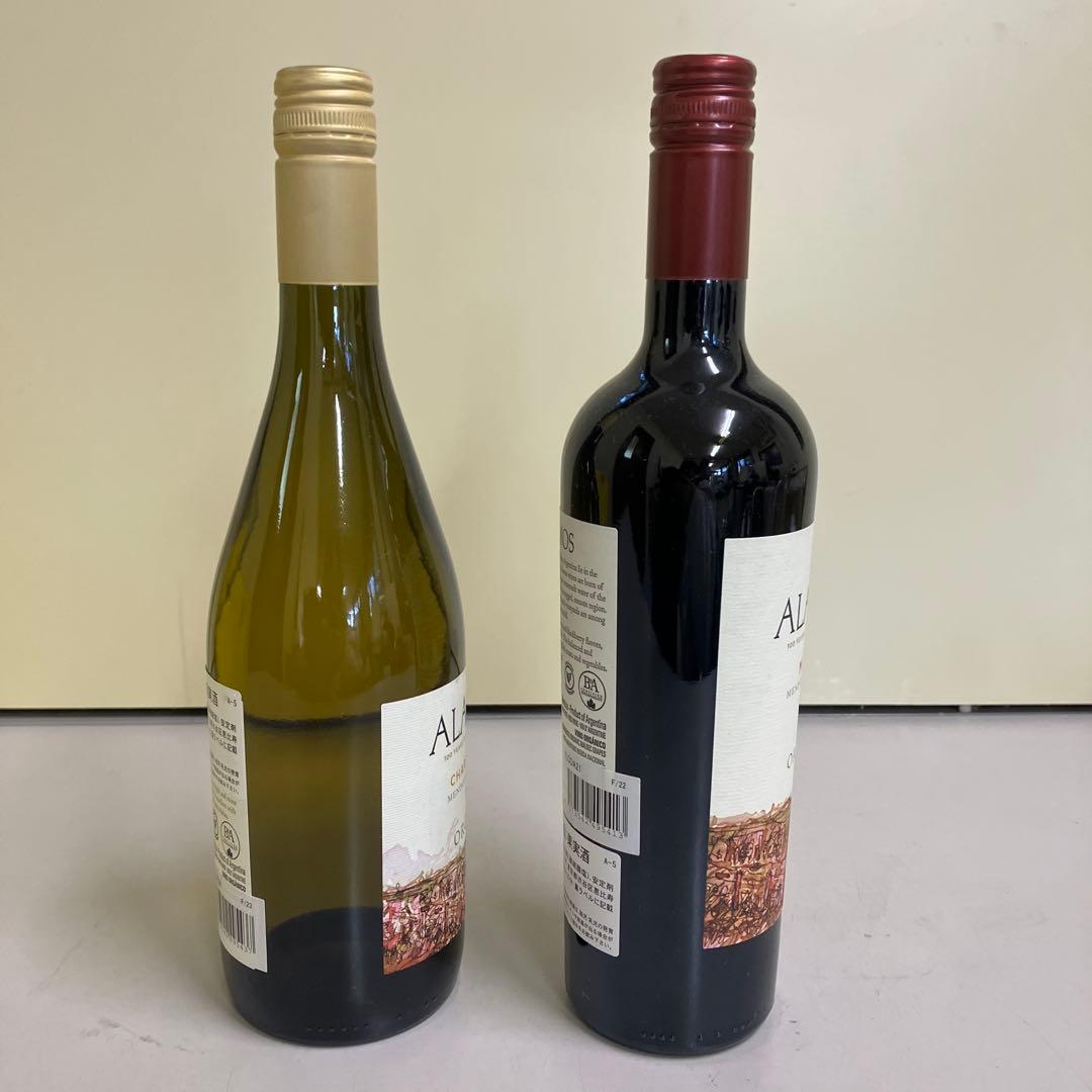 E壁 ALAMOS アラモス アルゼンチンワイン シャルドネ マルベック 古酒