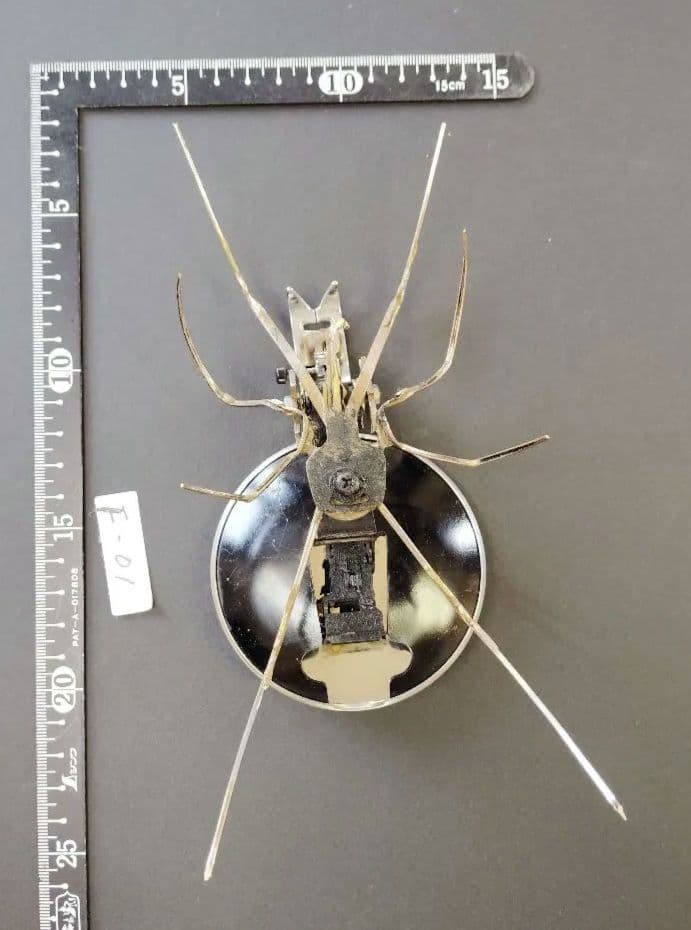 スチームパンク　古時計の振子使用昆虫　F-01