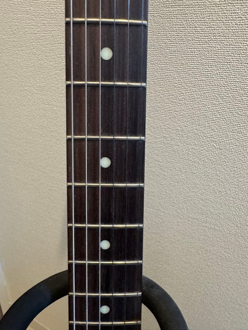 SCHECTER PA-LS/TK 凛として時雨 TKモデル エフェクター付き