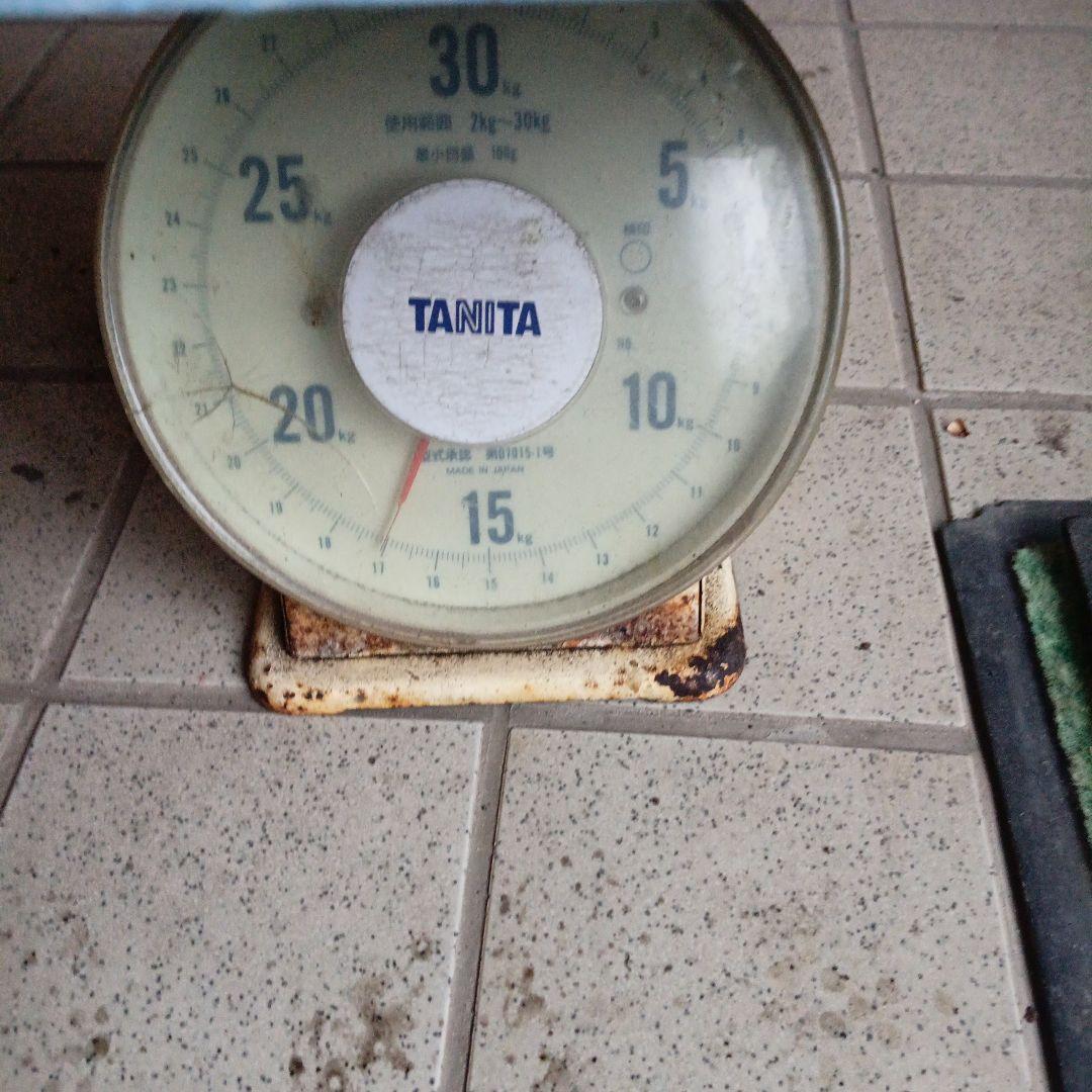 鳥取県産特大こんにゃく生芋15kg　　　　 　1-4