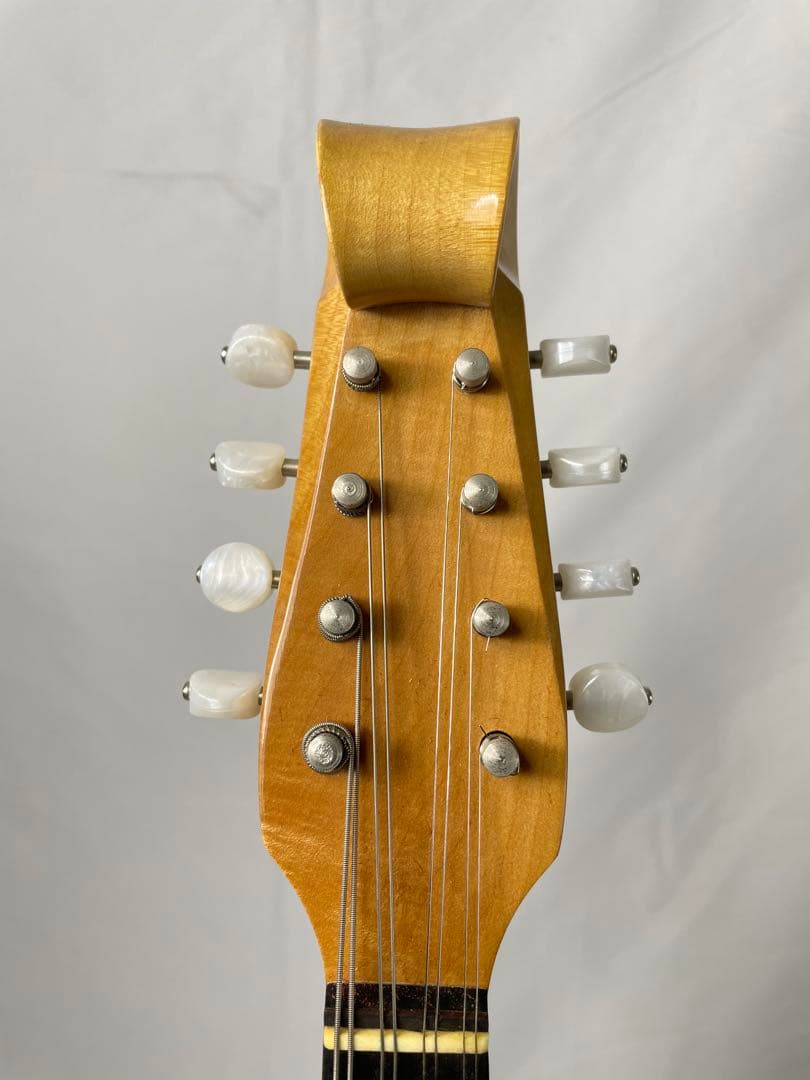 SUZUKI/スズキ クラシックマンドリン M-100