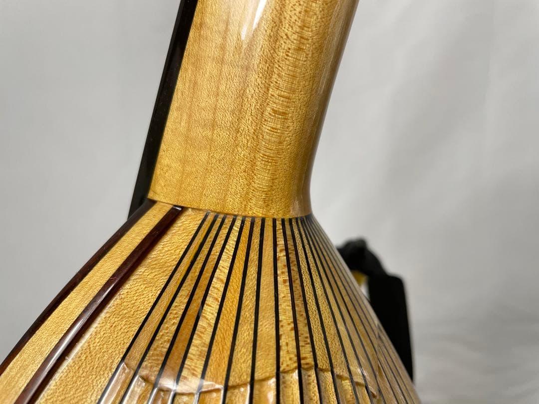 SUZUKI/スズキ クラシックマンドリン M-100