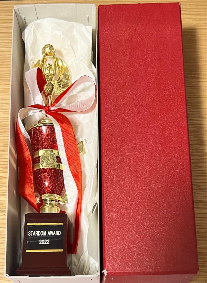 STARDAM トロフィー CDと岩谷麻優選手カード付き