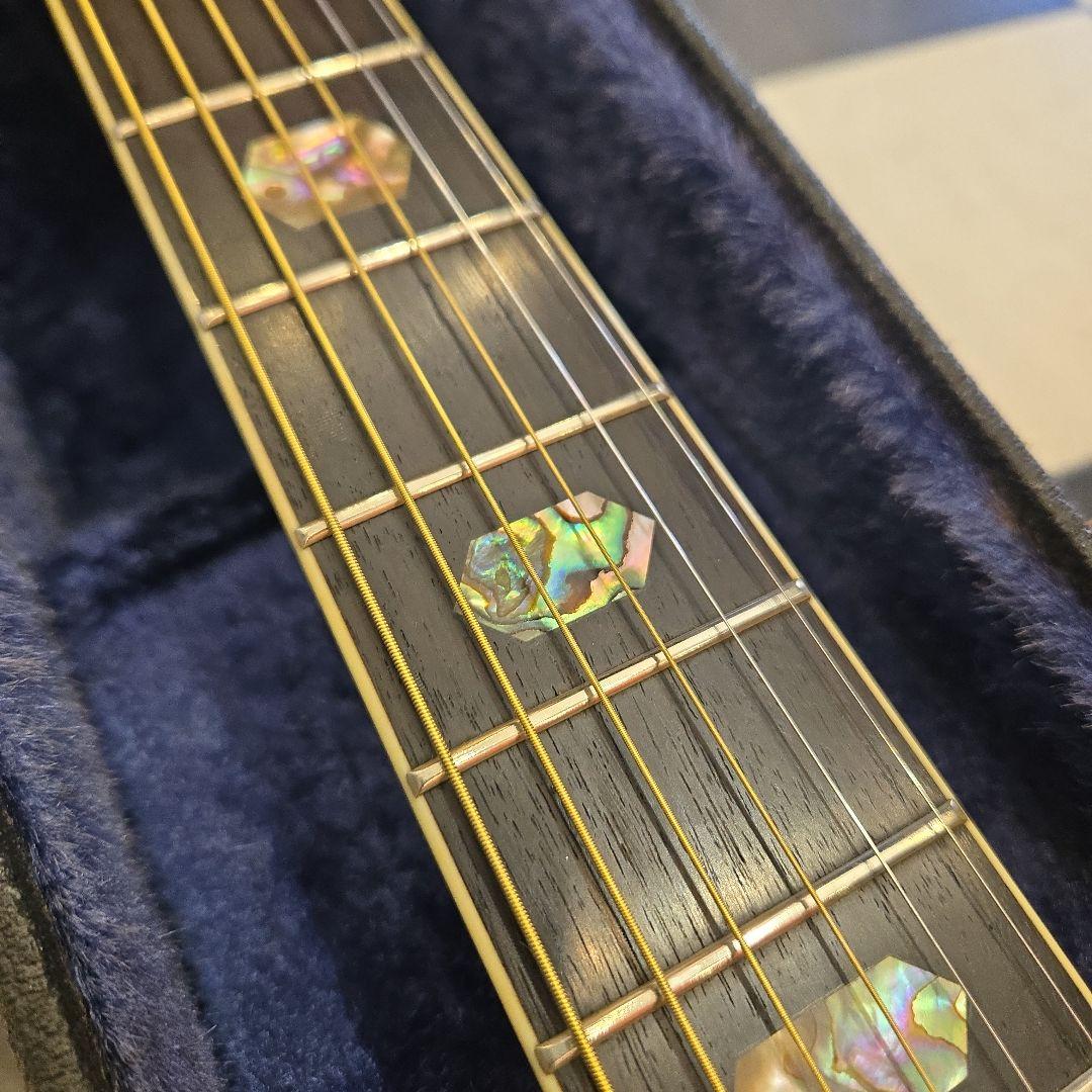 希少 TF MORRIS W-50 アコースティックギター ビンテージ