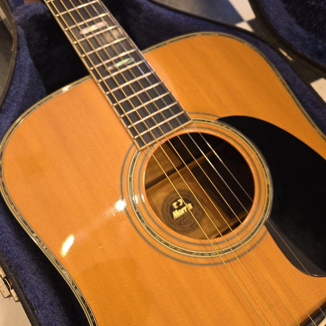 希少 TF MORRIS W-50 アコースティックギター ビンテージ