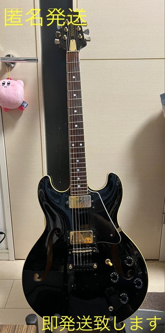 即発送 Aria pro2 TA-70