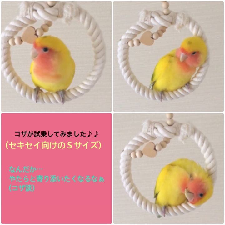 安全で安心《ぬくぬくブランコ Mサイズ》鳥ブランコ インコブランコ 鳥おもちゃ
