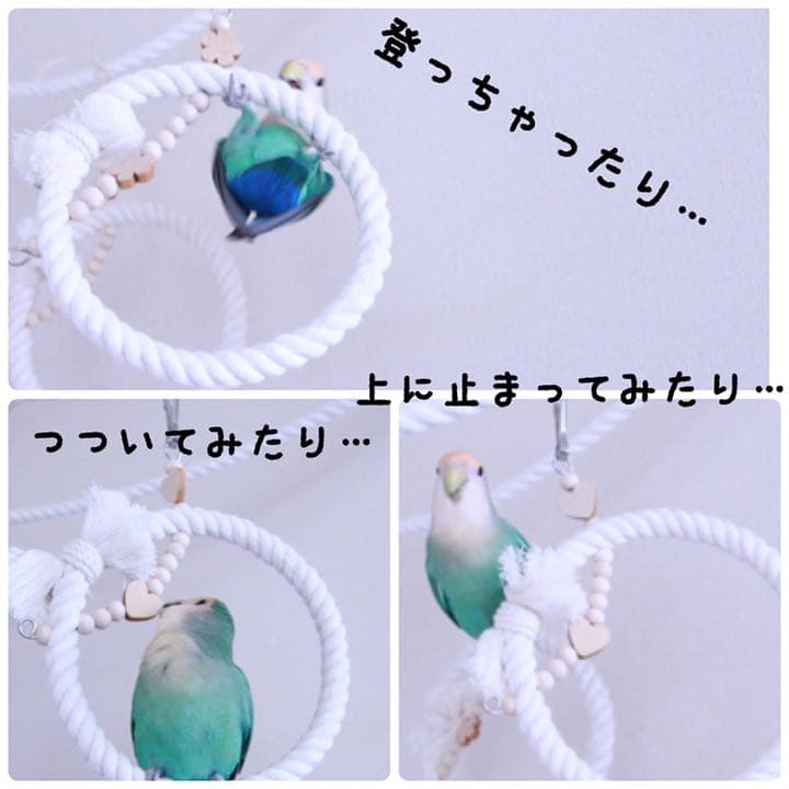 安全で安心《ぬくぬくブランコ Mサイズ》鳥ブランコ インコブランコ 鳥おもちゃ