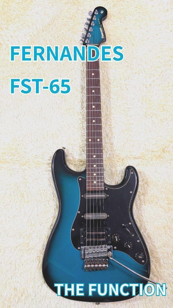 フェルナンデス　FERNANDES FST-65 the Function