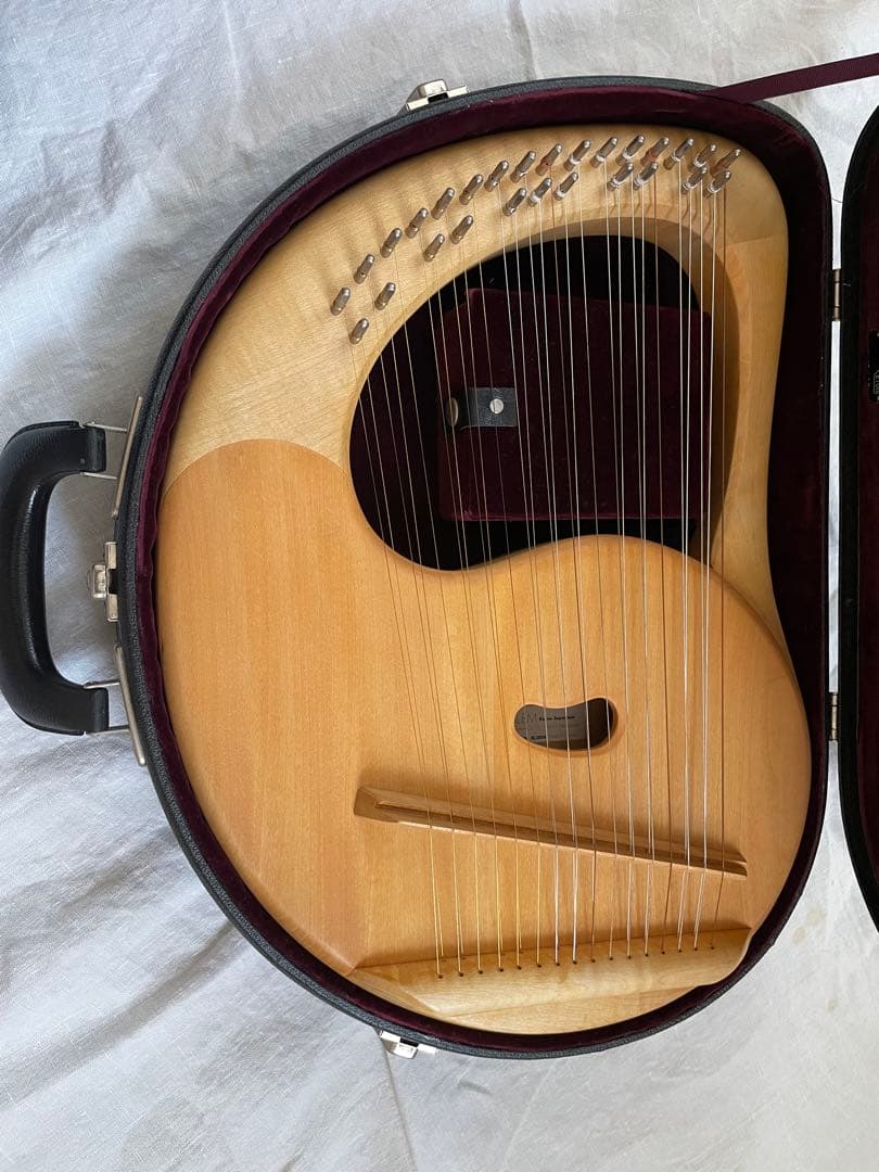 ザーレムライアー　SALEM 27弦