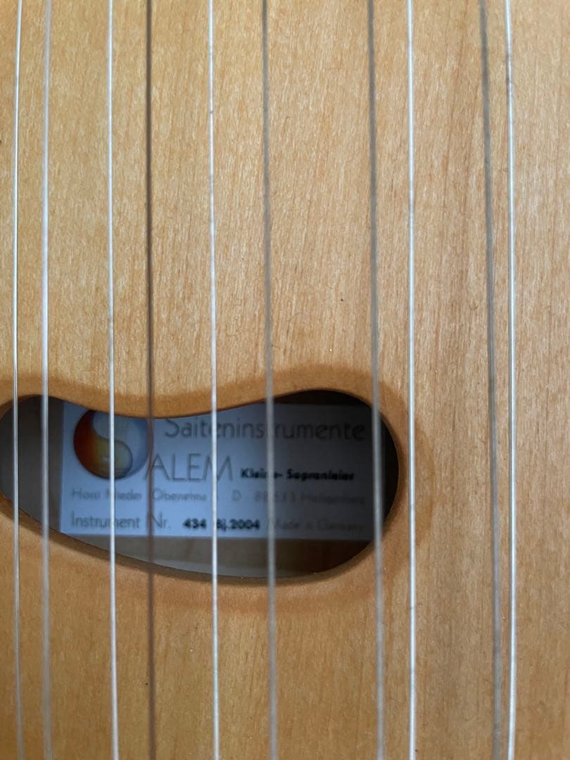 ザーレムライアー　SALEM 27弦