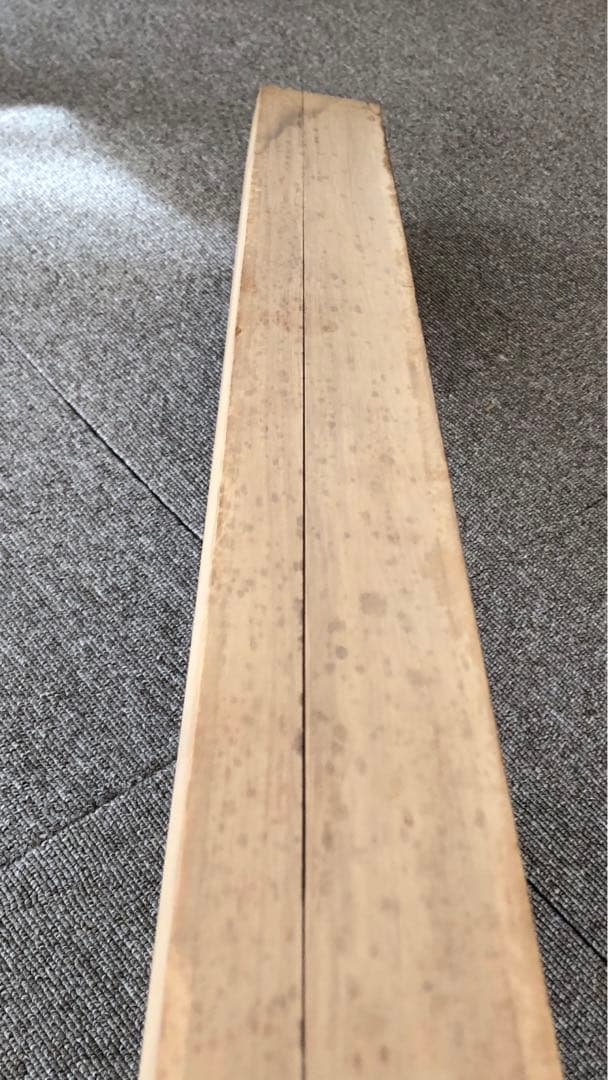 山下竹斎 肉筆 掛け軸 日本画