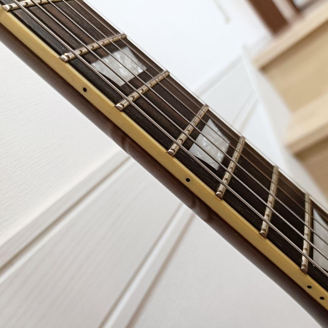 虎杢トップ｜Epiphone Les Paul Standard ハニーバースト