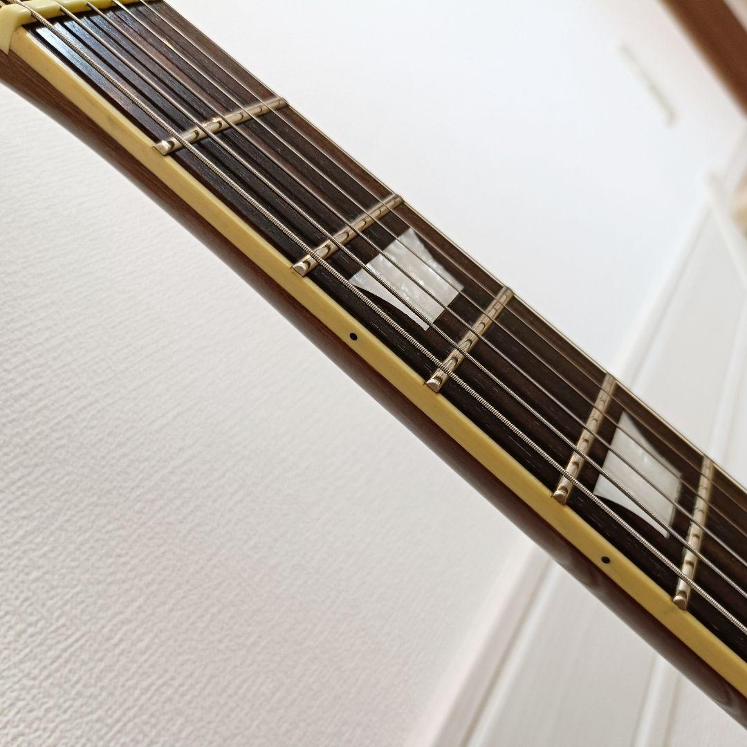 虎杢トップ｜Epiphone Les Paul Standard ハニーバースト