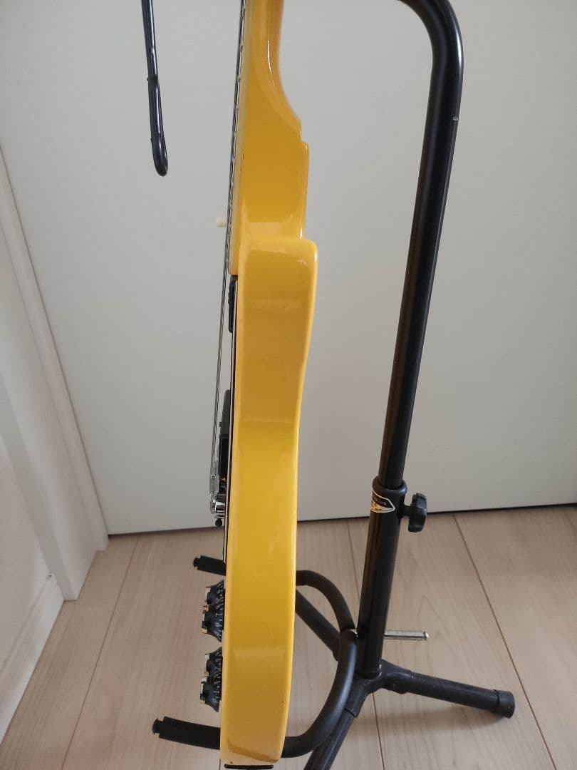 グラスルーツ　レスポールスペシャル