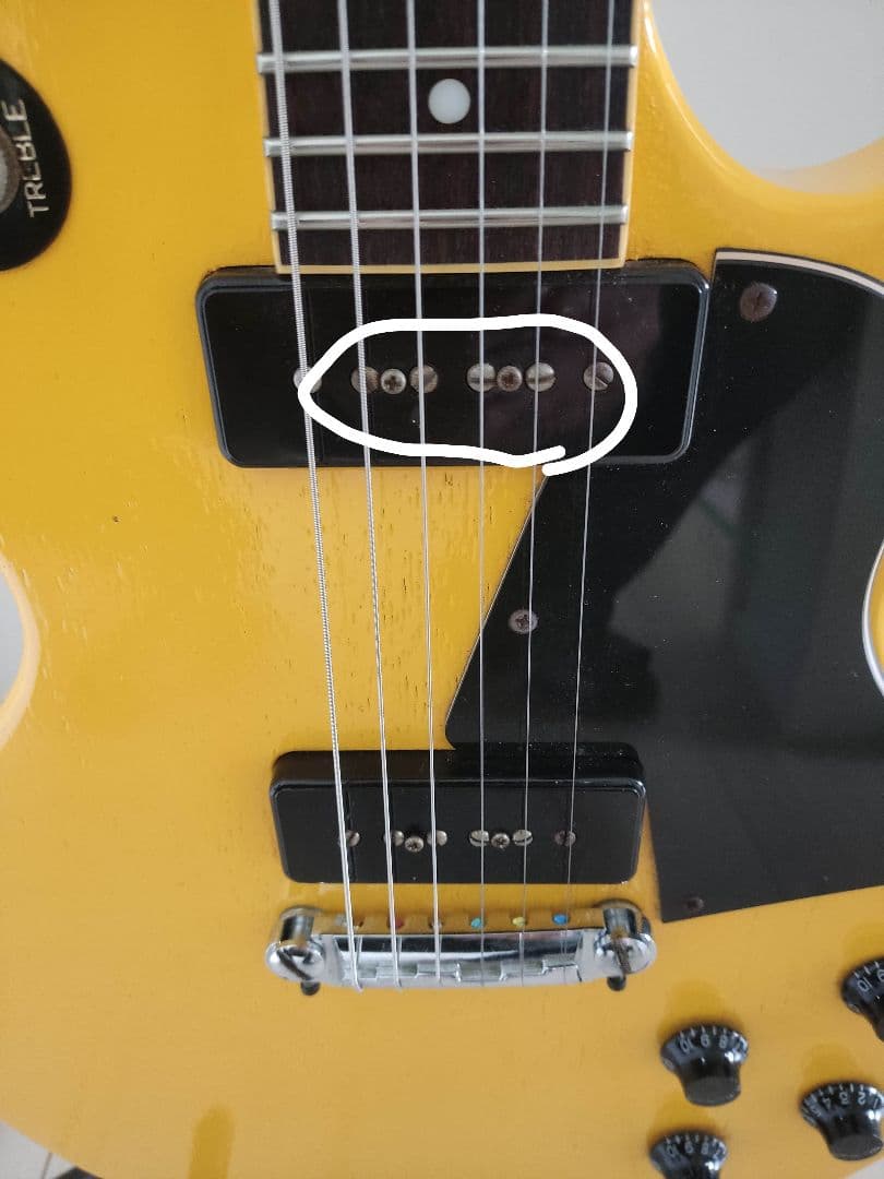 グラスルーツ　レスポールスペシャル