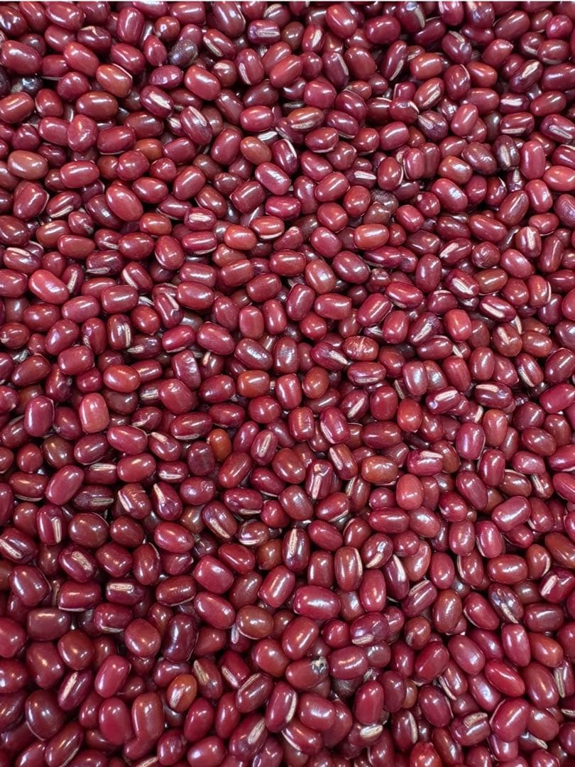 【新豆】北海道産小豆 きたろまん10kg