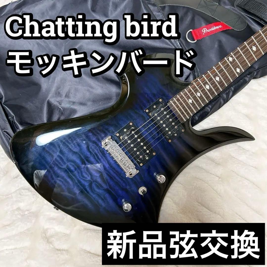 Chatting bird チャッティングバード モッキンバード ブルー