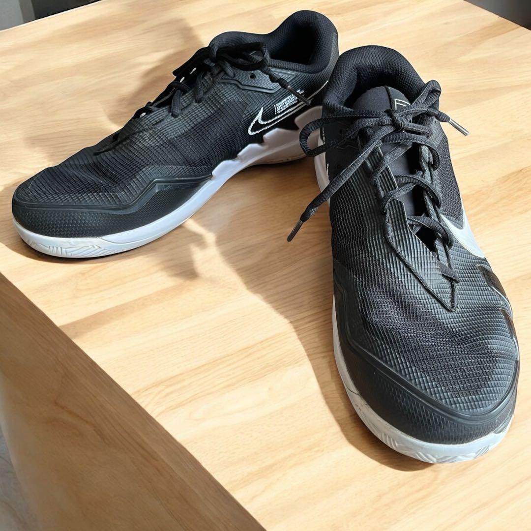 恐竜　ナイキ　テニスシューズ　ズームヴェイパープロ　クレー　オムニ