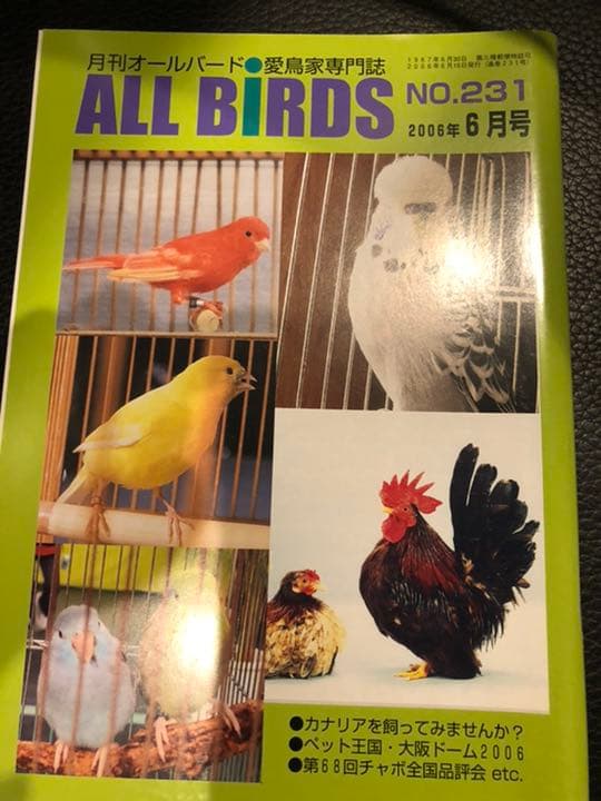 オールバード　創刊〜2006.12月号　飛び番号あり　300冊くらい？