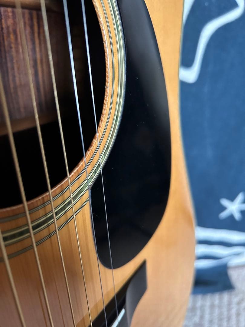 最終特価‼️単板トップ美品80年製❣️国産ビンテージ❣️モーリス　Ｗ-25 良質❣️良音