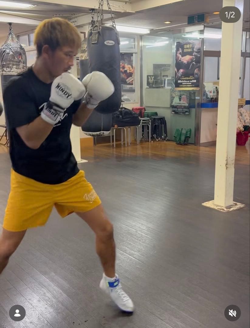 WINDY ボクシンググローブ ひも式 8oz