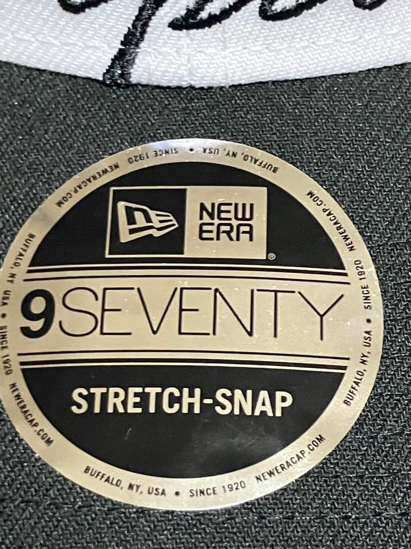 日本未発売　ドジャース デコピン＆大谷サイン刺繍入りチャンピオンキャップ2024