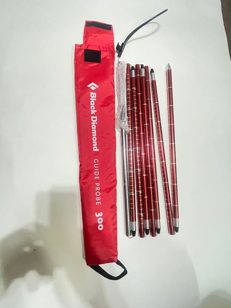  ガイドプローブ 300