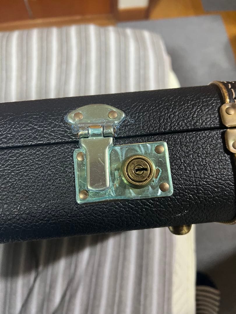 熊SCHECTER PW-EX-B-BL/FL