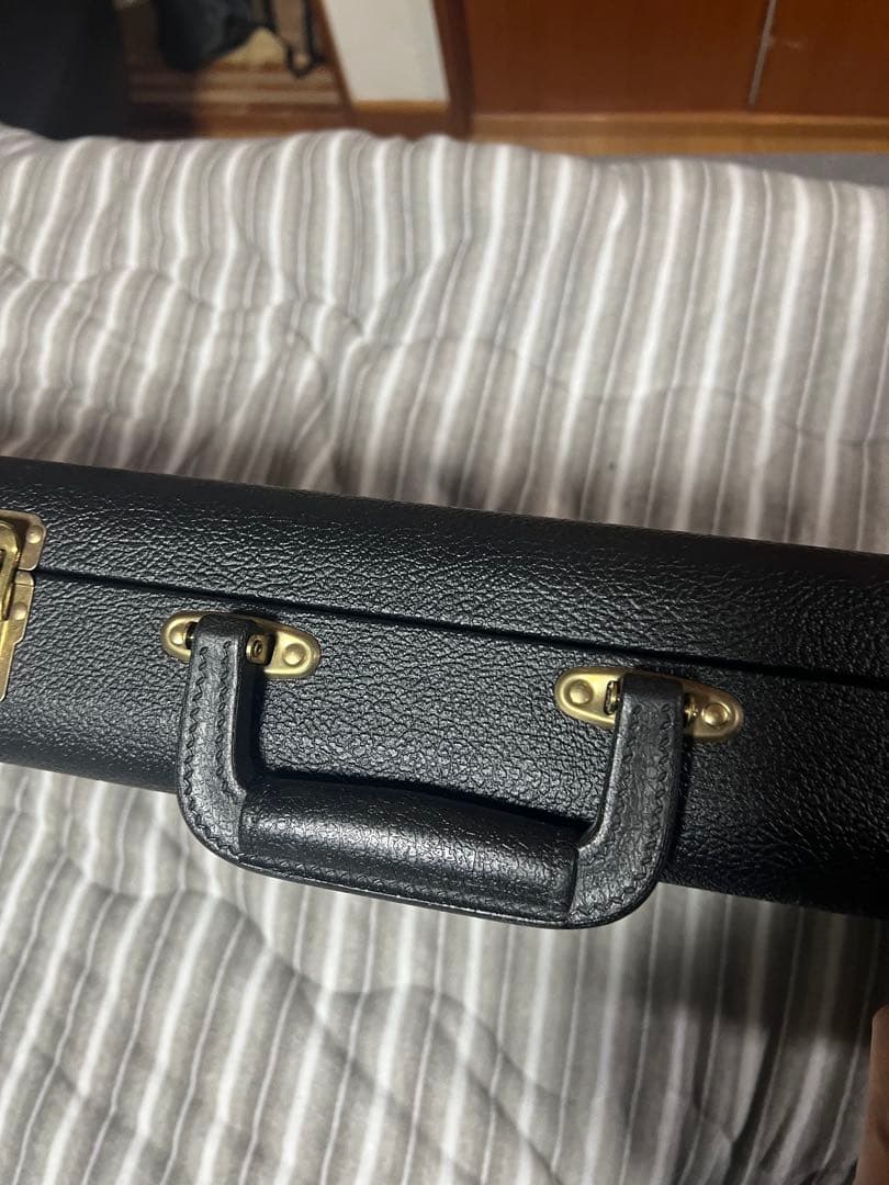 熊SCHECTER PW-EX-B-BL/FL