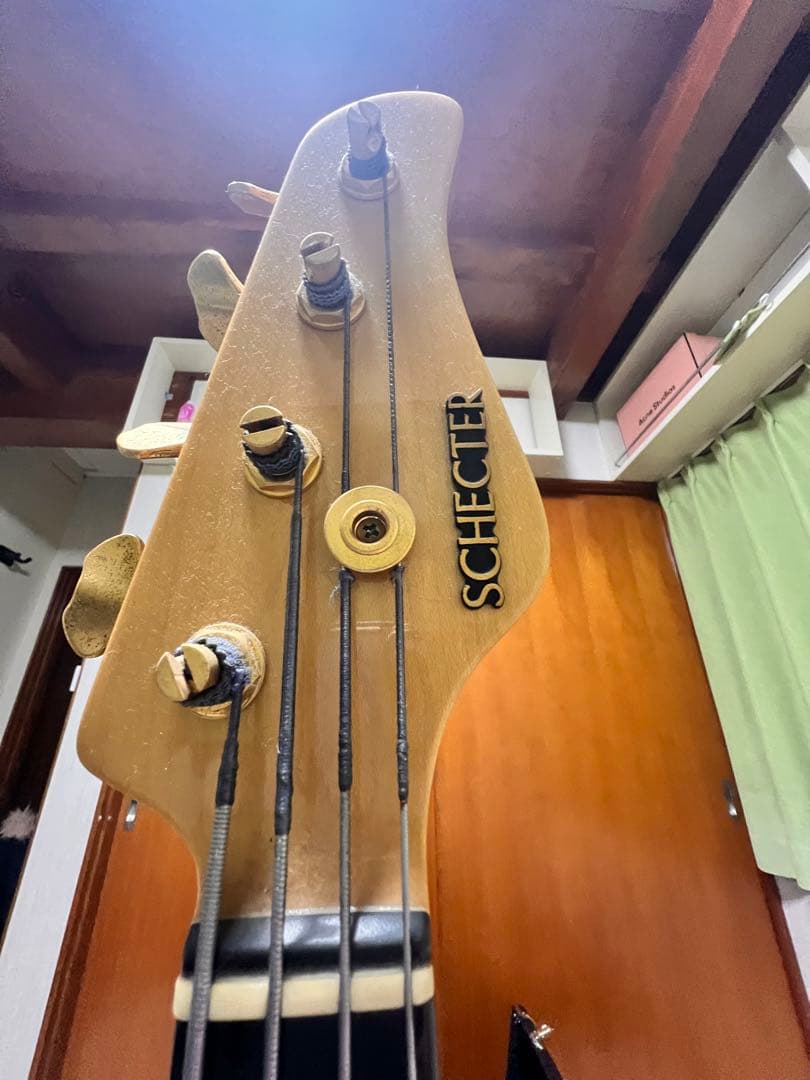 熊SCHECTER PW-EX-B-BL/FL