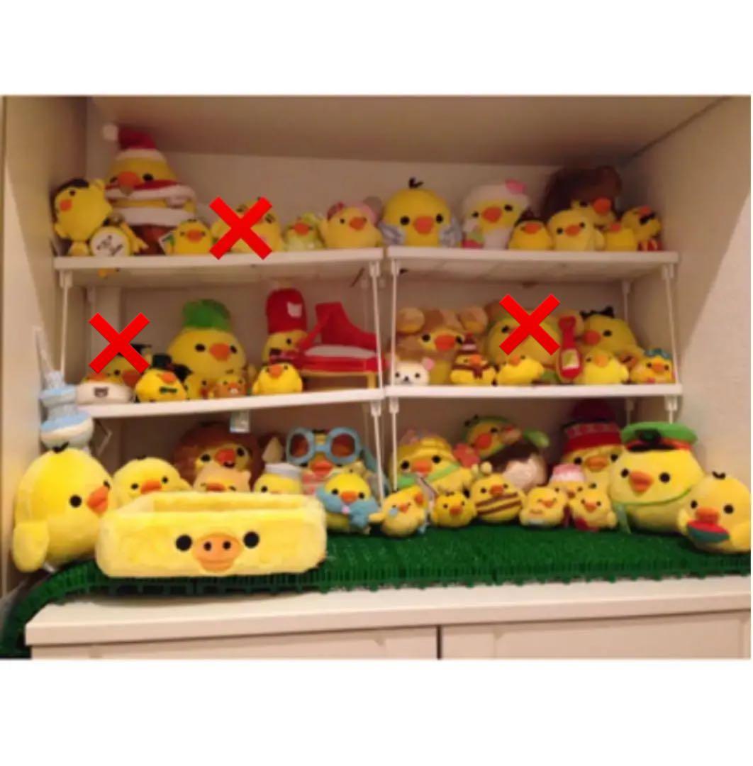 ★バラ売りはじめます★ キイロイトリ　たくさん♡