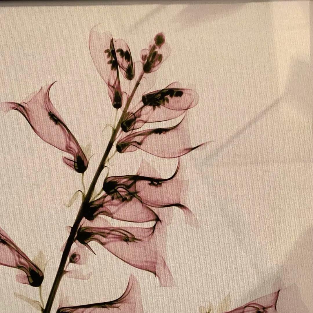 ☆未使用品☆アルバートクーツィール 花のアート作品 絵 雑貨 UP-5